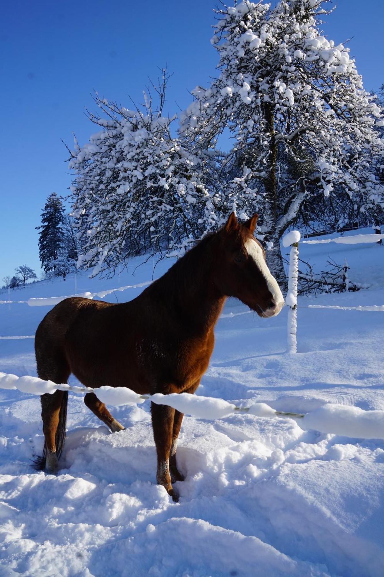 Muellerleile Hof Villa ฮาสลัค อิม คินซิกทัล ภายนอก รูปภาพ