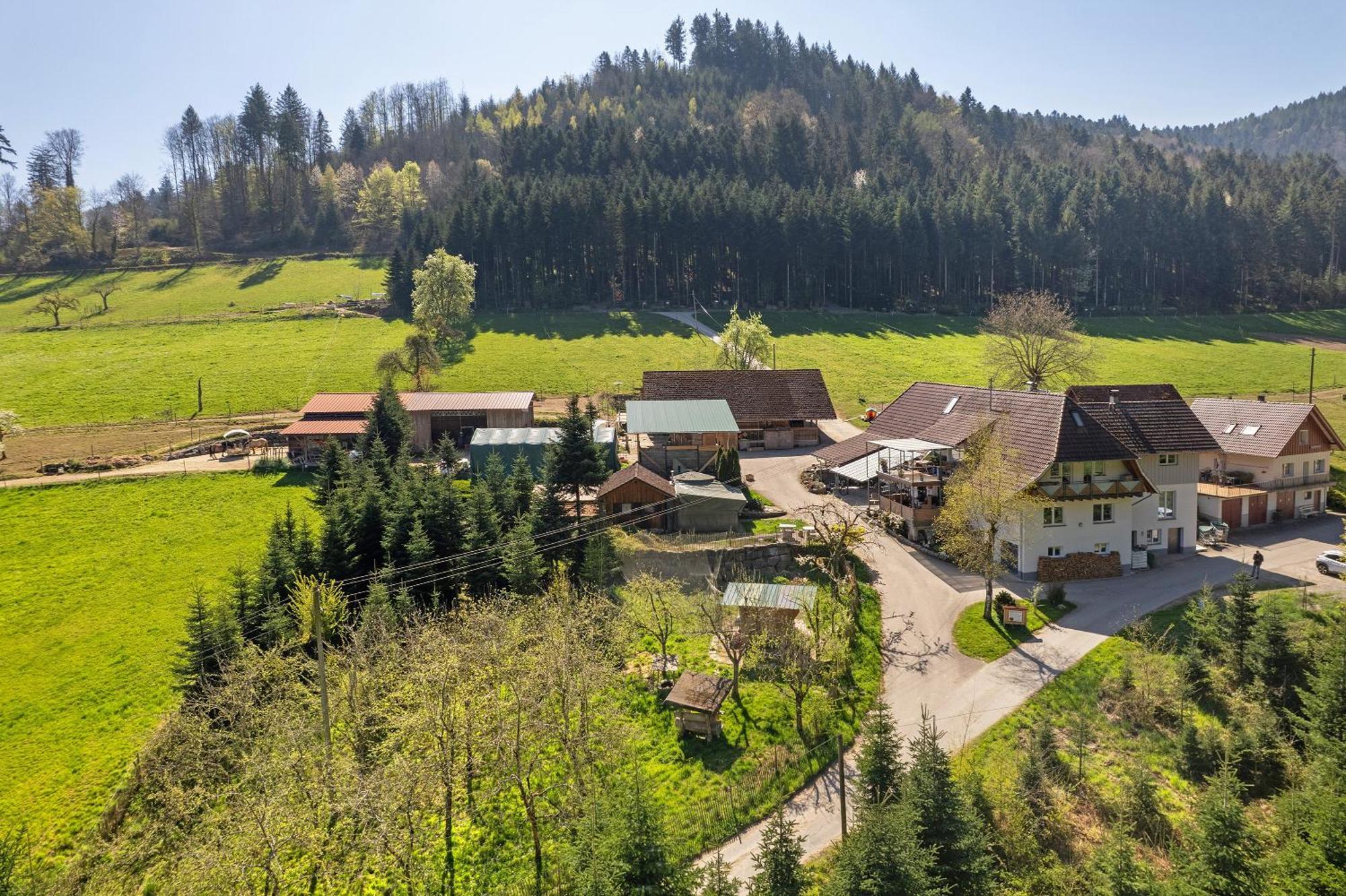 Muellerleile Hof Villa ฮาสลัค อิม คินซิกทัล ภายนอก รูปภาพ